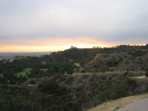 A view from one of my favorite hikes, Griffith Park. Can you see why I
